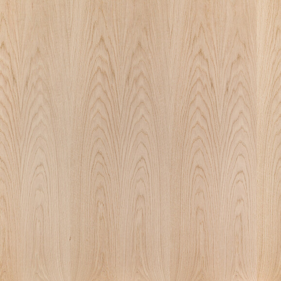 Book-Matched Composition Panel 3